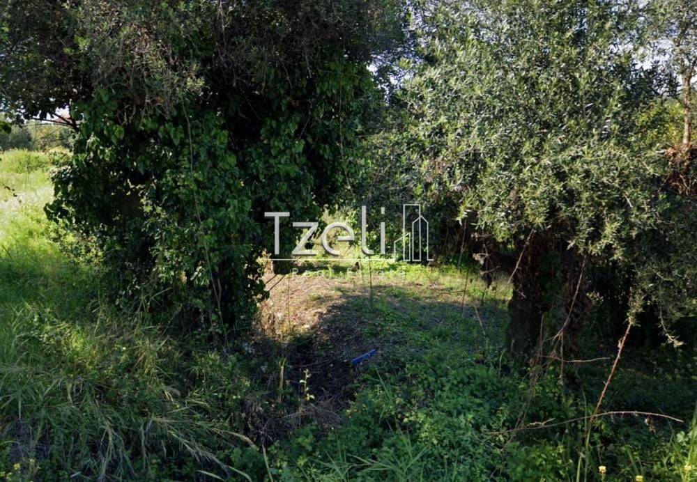 Άποψη οικοπέδου