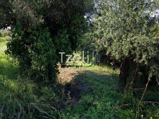 Άποψη οικοπέδου