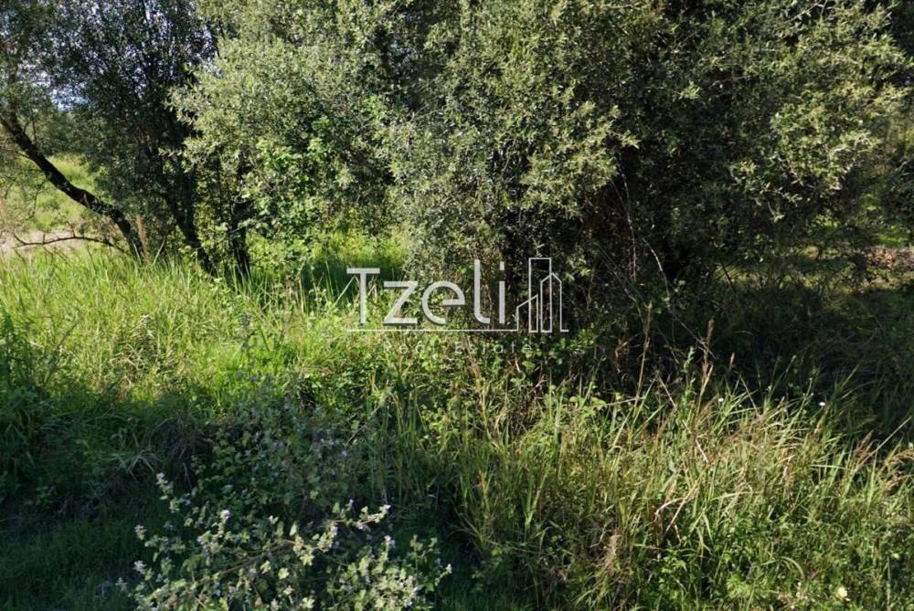 Άποψη οικοπέδου