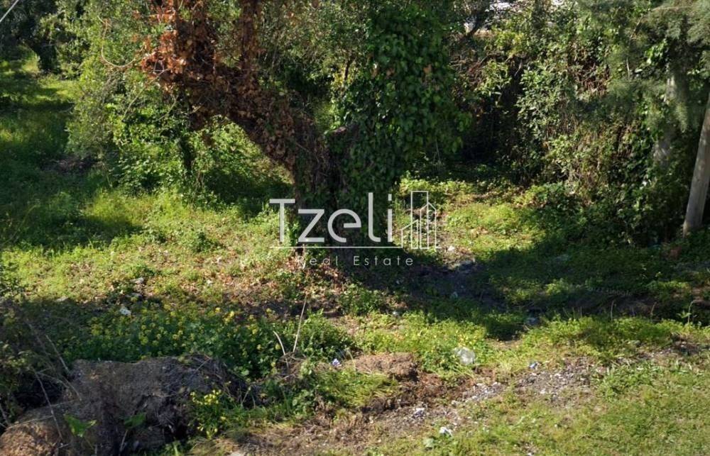 Άποψη οικοπέδου