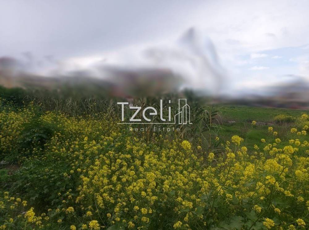 Άποψη οικοπέδου