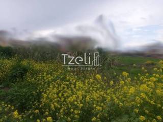 Άποψη οικοπέδου