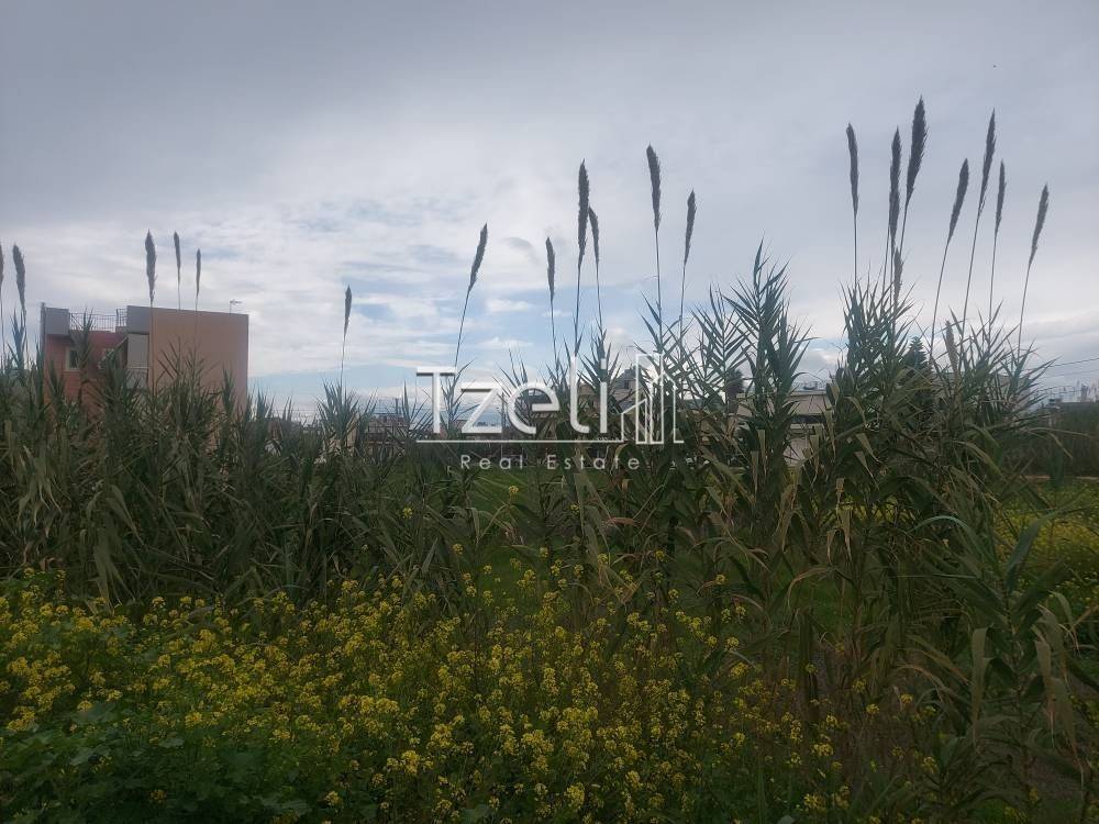 Άποψη οικοπέδου