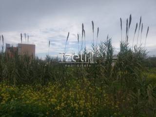 Άποψη οικοπέδου