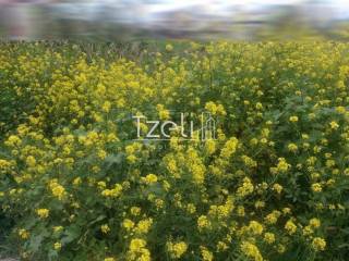 Άποψη οικοπέδου