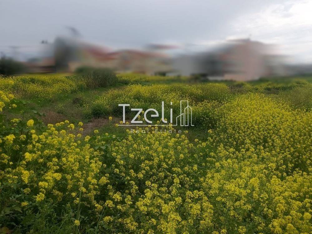 Άποψη οικοπέδου