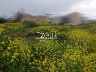 Άποψη οικοπέδου