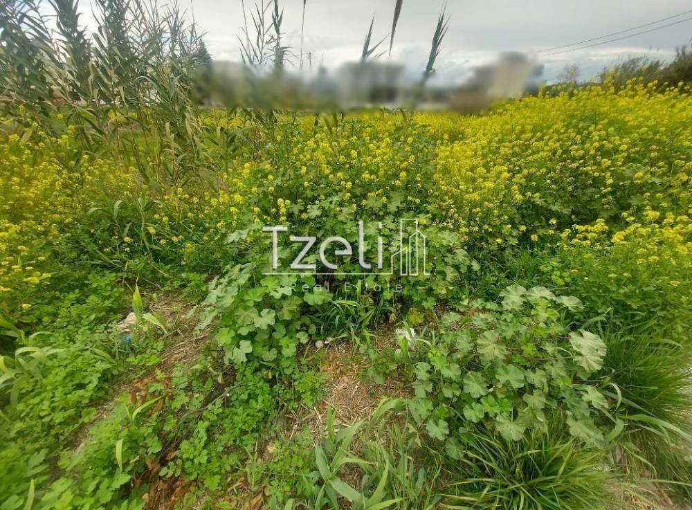 Άποψη οικοπέδου