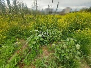 Άποψη οικοπέδου