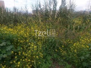 Άποψη οικοπέδου