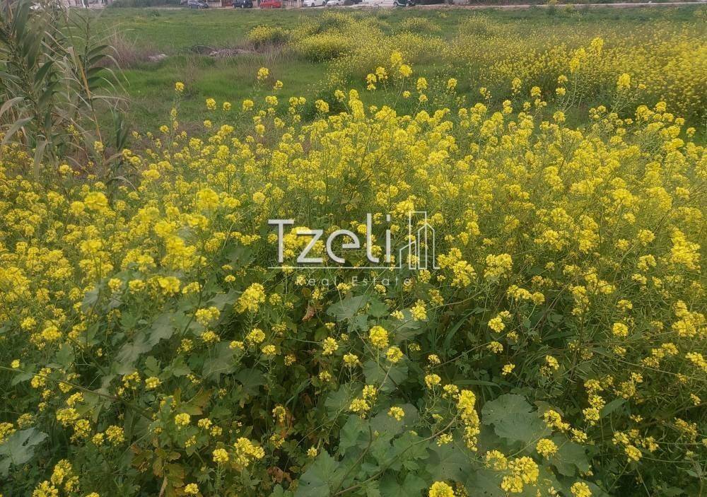 Άποψη οικοπέδου