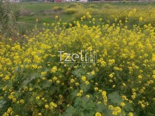 Άποψη οικοπέδου