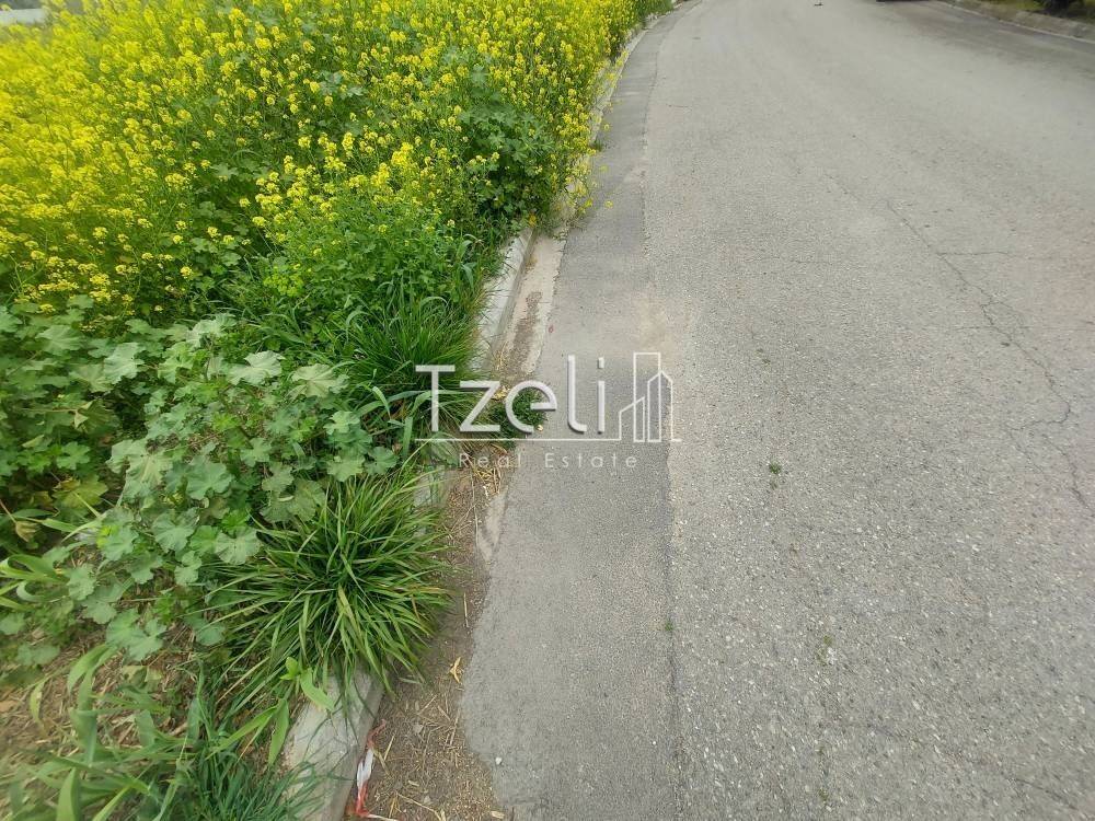 Άποψη οικοπέδου