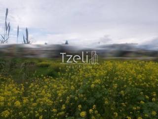 Άποψη οικοπέδου