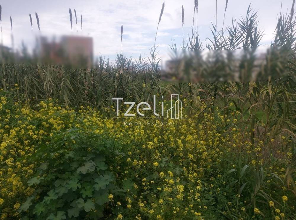 Άποψη οικοπέδου