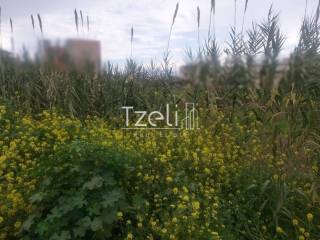 Άποψη οικοπέδου