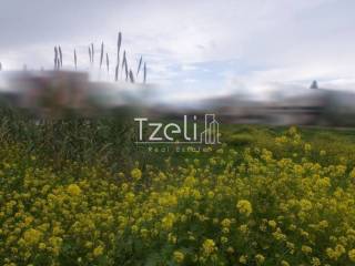 Άποψη οικοπέδου