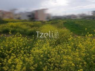 Άποψη οικοπέδου