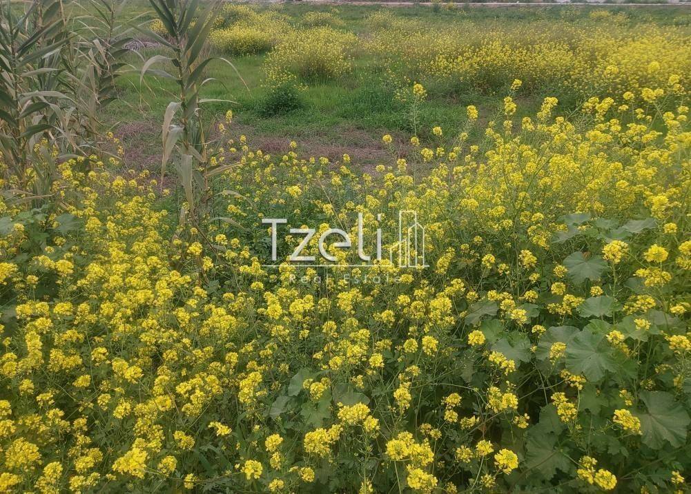 Άποψη οικοπέδου