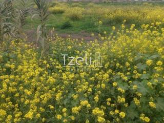 Άποψη οικοπέδου