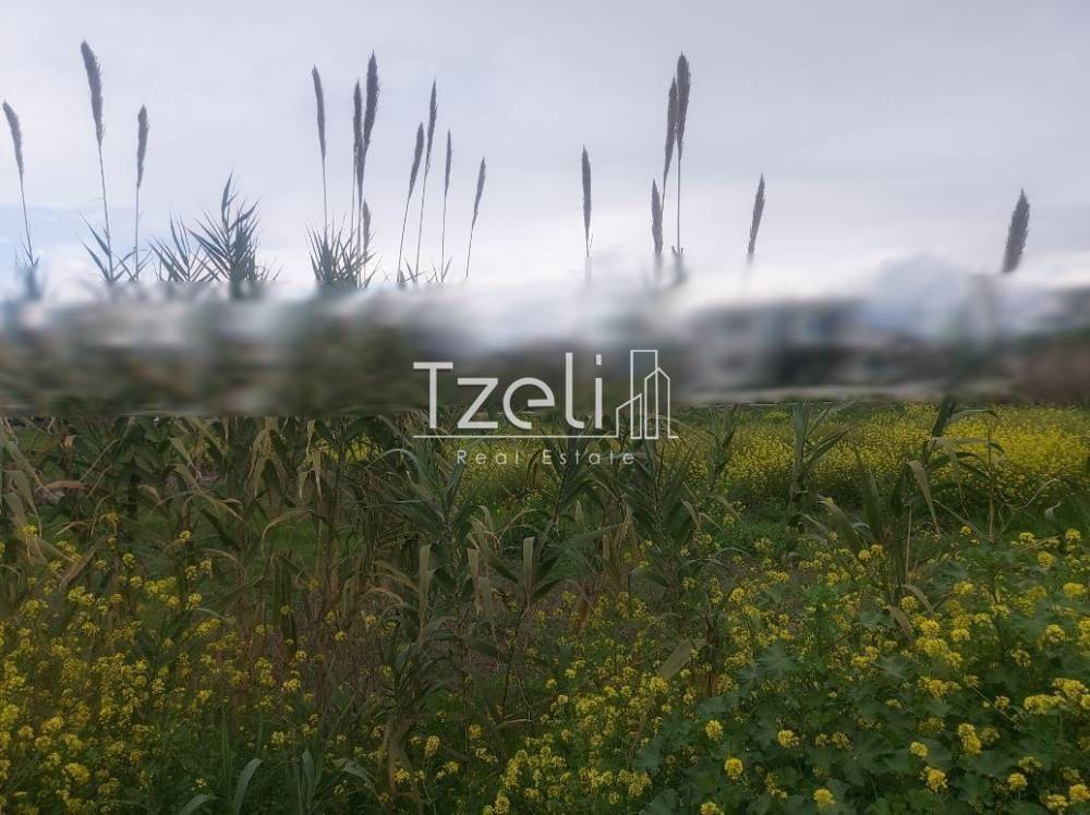 Άποψη οικοπέδου