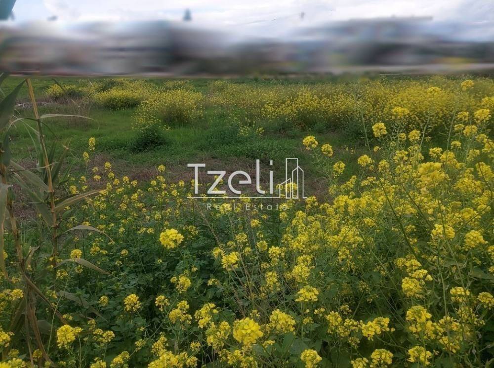 Άποψη οικοπέδου