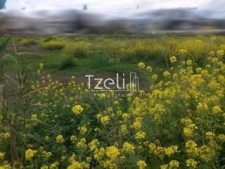 Άποψη οικοπέδου