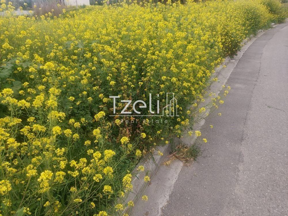 Άποψη οικοπέδου