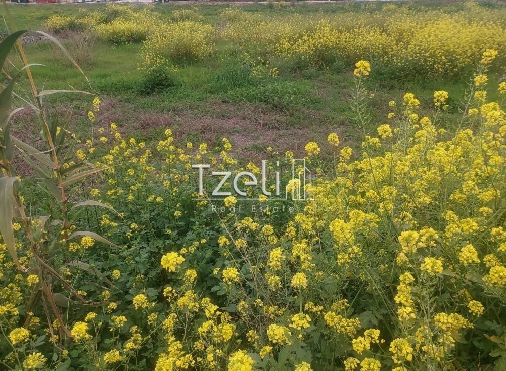 Άποψη οικοπέδου