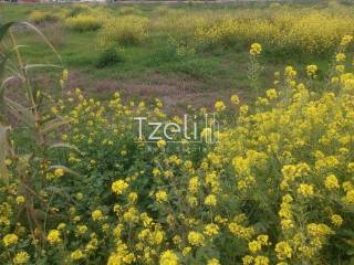 Άποψη οικοπέδου