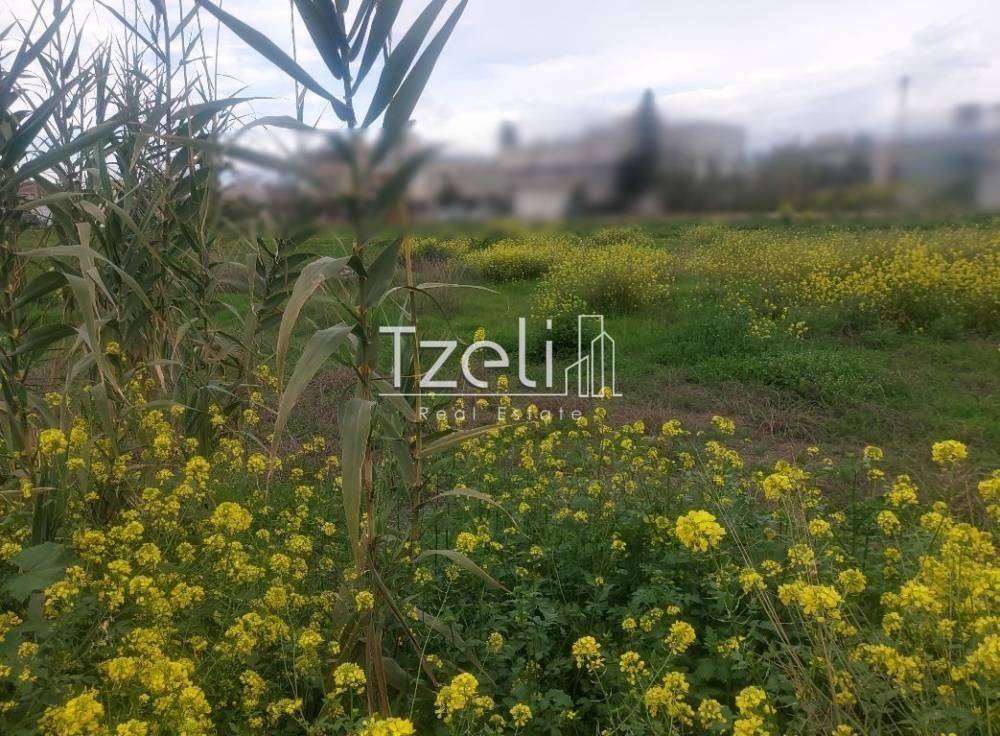 Άποψη οικοπέδου