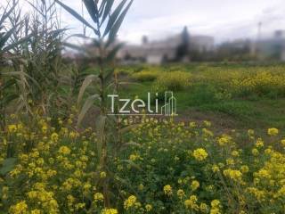 Άποψη οικοπέδου