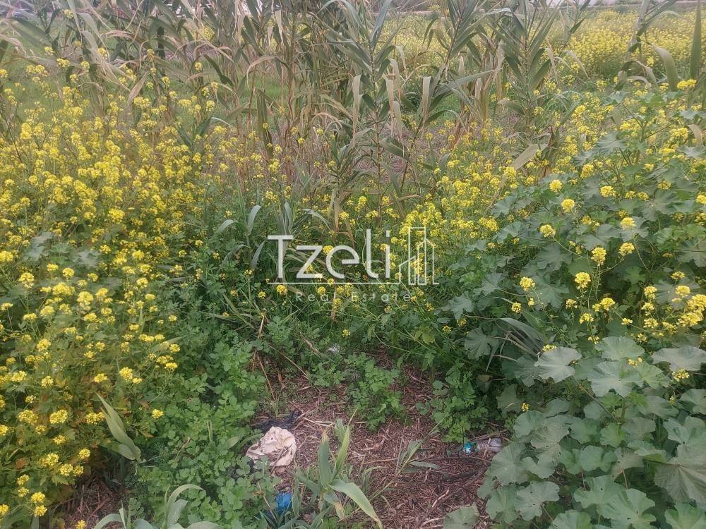 Άποψη οικοπέδου