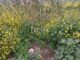 Άποψη οικοπέδου