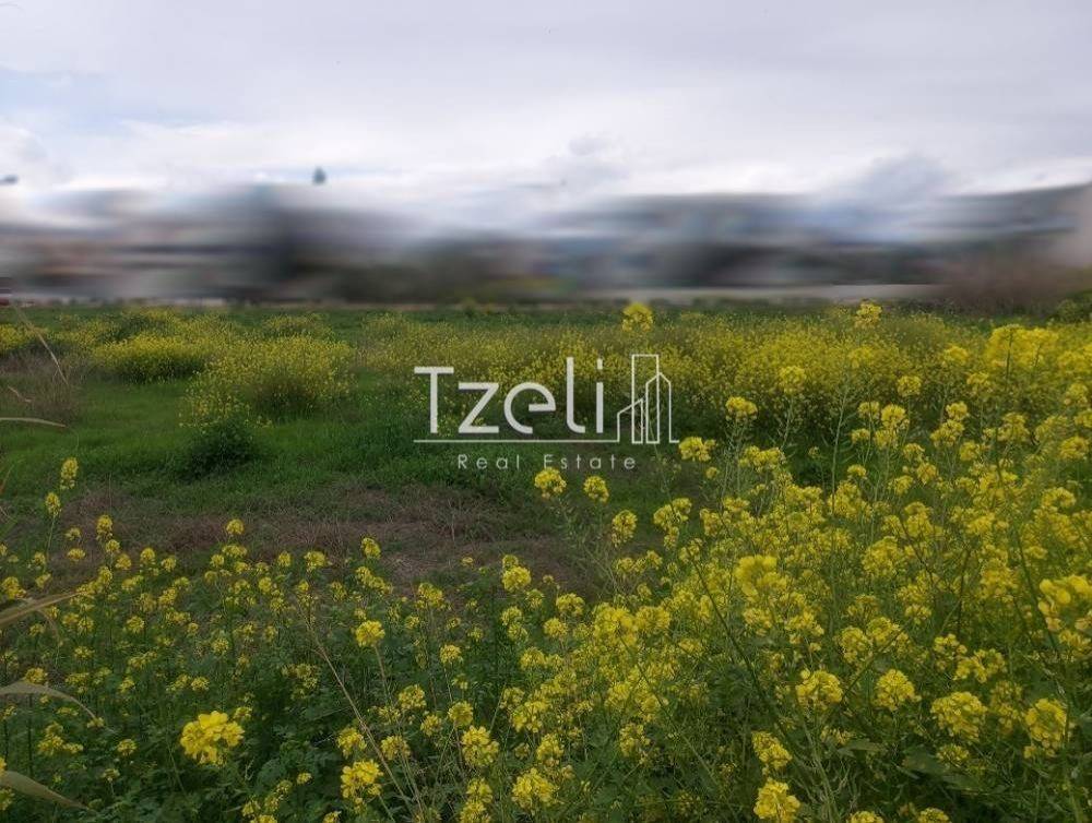 Άποψη οικοπέδου