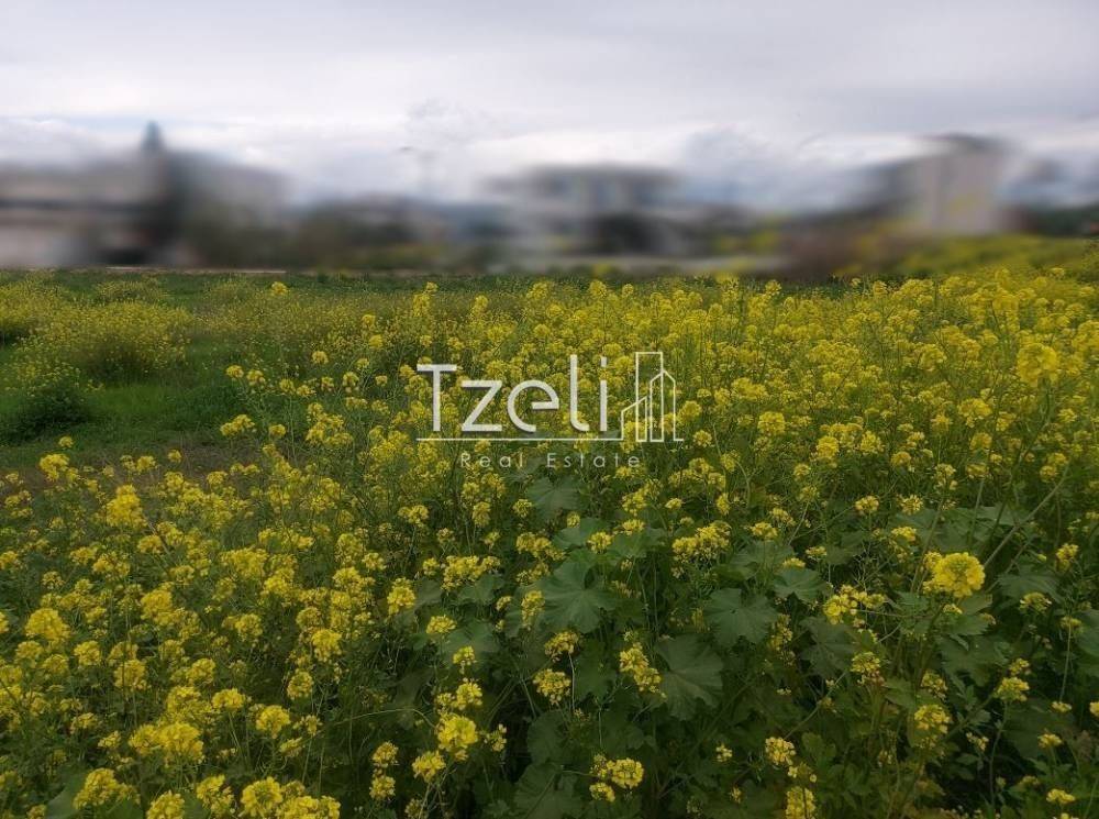 Άποψη οικοπέδου