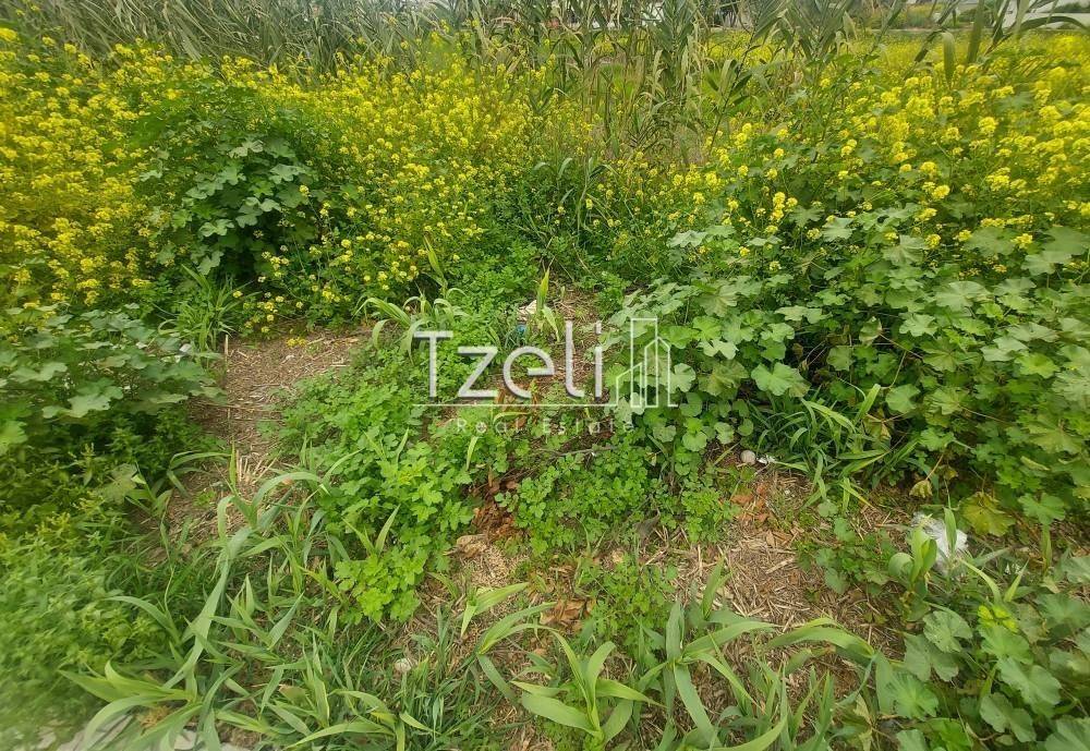 Άποψη οικοπέδου