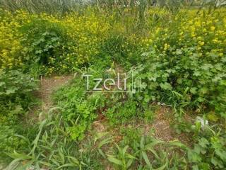 Άποψη οικοπέδου