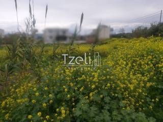 Άποψη οικοπέδου