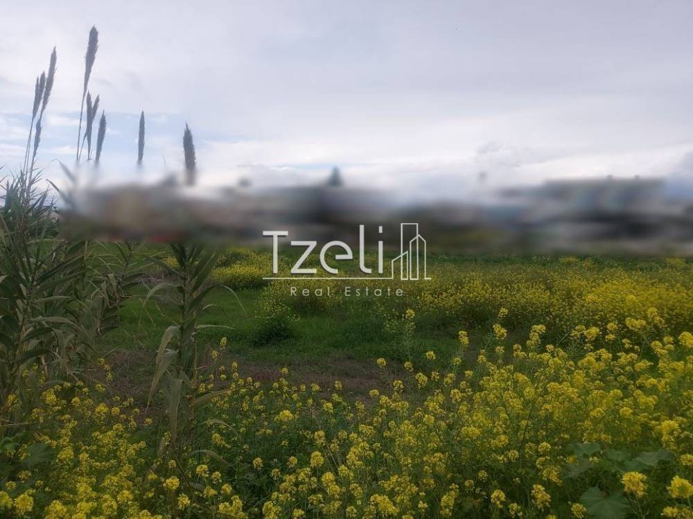 Άποψη οικοπέδου