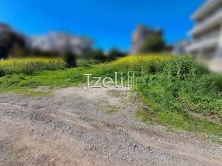 Εξωτερική άποψη χώρου