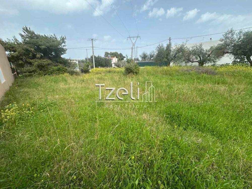 Άποψη οικοπέδου