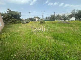 Άποψη οικοπέδου