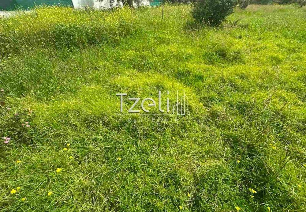 Άποψη οικοπέδου