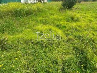 Άποψη οικοπέδου