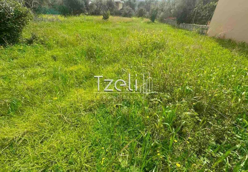 Άποψη οικοπέδου