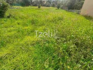 Άποψη οικοπέδου