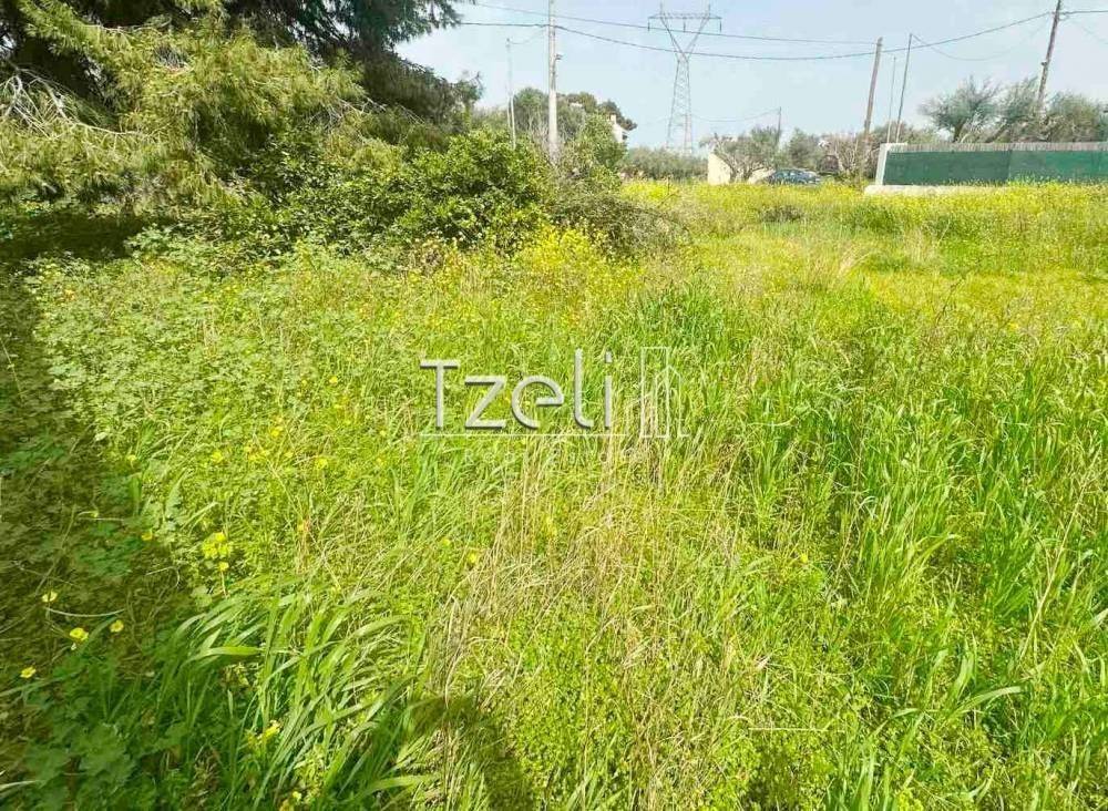 Άποψη οικοπέδου