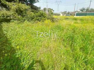 Άποψη οικοπέδου