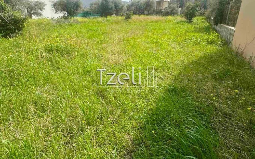 Άποψη οικοπέδου